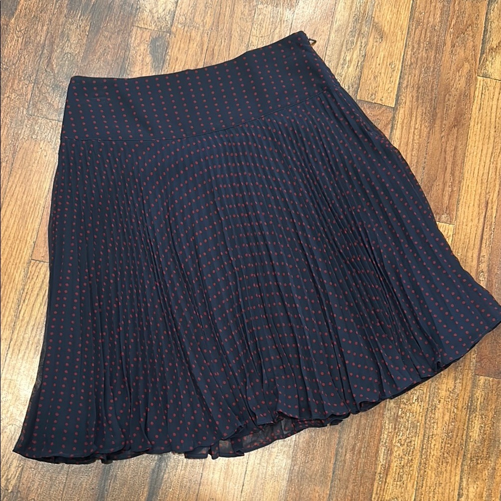Navy and Red Polka Dot Pleated Skirt
